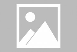 吃瓜网搭建,网络舆论风向标背后的故事